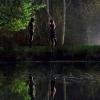 ARROW