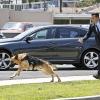 "Heirlooms" -- Russ and Milt pit the crime-solving skills of their police dogs against each other as they work to solve the murder of a local waitress.  Also, Russ tries a new tactic to get Milt to admit what brought him to Battle Creek, on BATTLE CREEK, Sunday, March 22, 2015 (10:00-11:00, ET/PT), on the CBS Television Network. Pictured: Josh Duhamel (Special Agent Milton Chamberlain). Photo: Cliff Lipson/CBS ÃÂ©2015 CBS Broadcasting, Inc. All Rights Reserved.