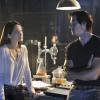 batbfan_1x1_004