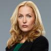 Gillian Anderson as Meg Fitch