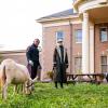 Doom Patrol -- Ep. 102 -- "Donkey Patrol"