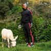 Doom Patrol -- Ep. 102 -- "Donkey Patrol"