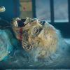 Dracula - Episode 1.01 - Pilot - Full Set of  Promotional Photos  (6)