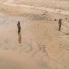 Infected - Fear the Walking Dead _ Season 2, Episode 13 - Photo Credit: Richard Foreman Jr/AMC