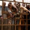 The Infected- Fear the Walking Dead _ Season 3, Episode 12 - Photo Credit: Richard Foreman, Jr/AMC