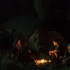 FTWD Still 62017 b
