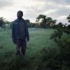 Lennie James as Morgan Jones - Fear the Walking Dead _ Season 4, Episode 12 - Photo Credit: Ryan Green/AMC