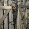 Fear the Walking Dead _ Season 5, Episode 7 - Photo Credit: Van Redin/AMC