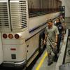 Graceland - Season 2