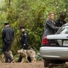 GRACEPOINT: Detective Ellie Miller (Anna Gunn, second from R) searches for a missing child in "Episode Seven" of GRACEPOINT airing Thursday, Nov. 13 (9:00-10:00 PM ET/PT) on FOX. ©2014 Fox Broadcasting Co. Cr: Ed Araquel/FOX