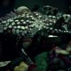 hannibal-06