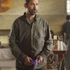 Episode 2.06 - M. Domestica
