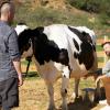 THE LAST MAN ON EARTH: L-R: Will Forte and guest star Jason Sudeikis in the "Smart And Stupid" episode of THE LAST MAN ON EARTH airing Sunday, May 8 (9:30-10:00 PM ET/PT) on FOX.  ©2016 Fox Broadcasting Co.  Cr: Adam Taylor