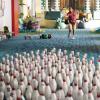 Last Man on Earth