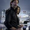 Episode 4.02 - Red Cell Quantum Cold Committed