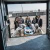 "Off the Record" -- While Elizabeth is in Libya to help negotiate an end to their civil war, a tragic accident with her chauffeured car embroils her in an urgent situation to secure medical care for a gravely wounded local girl, on MADAM SECRETARY, Sunday, Oct. 15 (10:30-11:30 PM, ET/PT) on the CBS Television Network. Pictured (L-R) Bebe Neuwirth as Nadine Tolliver and TÃÂ©a Leoni as Elizabeth McCord Photo: David M. Russell/CBS ÃÂ©2017 CBS Broadcasting, Inc. All Rights Reserved