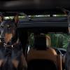"Nowhere to Hide"-As Magnum helps a woman (Vera Cherny) find her missing cousin, Sergei (Ilia Volok), a Russian fugitive, Higgins\' and Kumu\'s lives are put in danger when they get too close to the case, on MAGNUM P.I., Monday, Jan. 14 (9:00-10:00 PM, ET/PT) on the CBS Television Network. Photo: CBS ÃÂÃÂ©2018 CBS Broadcasting, Inc. All Rights Reserved