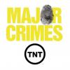 Major Crimes