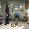 "A Few Thongs and a Hawaiian Funeral" -- Christy and Jill take Emily to see her biological mother, Natasha (Missi Pyle), in rehab where they make a surprising discovery, and Bonnie watches Adam\'s dog while he\'s out of town, on MOM, Thursday, May 4 (9:01-9:30 PM, ET/PT) on the CBS Television Network. Pictured left to right: Allison Janney as Bonnie and John Benjamin Hickey as Dr. Sellers. Photo: Sonja Flemming/CBS ÃÂ©2017 CBS Broadcasting, Inc. All Rights Reserved