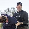 "The Abyss" -- When a Navy Admiral\'s daughter is the prime suspect in a double murder case aboard a research boat, the NCIS team partners with the Coast Guard Investigative Service (CGIS) to investigate. Meanwhile, Lasalle tracks down his estranged brother, on NCIS: NEW ORLEANS, Jan 13 (9:00-10:00, ET/PT), on the CBS Television Network. Pictured: Lucas Black as Special Agent Christopher LaSalle Photo: Skip Bolen/CBS ÃÂ©2014 CBS Broadcasting, Inc. All Rights Reserved