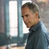"Heart Eight" -- The life of a genius Navy coder employed by Brody\'s mother, Olivia Brody (Annie Potts), hangs in the balance after the heart intended for his transplant is stolen.  Olivia joins the NCIS team as they race to locate the missing organ, on NCIS: NEW ORLEANS, Tuesday, Nov. 3 (9:00-10:00 PM, ET/PT), on the CBS Television Network. Pictured: Scott Bakula as Special Agent Dwayne Pride Photo: Skip Bolen/CBS ÃÂ©2015 CBS Broadcasting, Inc. All Rights Reserved