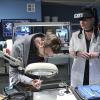 "Sister City: Part Two" -- While Special Agent Pride and the New Orleans team investigate a Russian sleeper agent who was involved with Abby\'s brother, Luca (Tyler Ritter), Sebastian flies to D.C. to partner with Abby on the forensics in the case. Also, Bishop drives through the night to deliver a package and work the case with the New Orleans team, on the conclusion of a special two-hour crossover event on NCIS: NEW ORLEANS, Tuesday, Jan. 5 (9:00-10:00 PM, ET/PT), on the CBS Television Network. Pictured left to right: Rob Kerkovich and Pauley Perrette Photo: Sonja Flemming/CBS ÃÂ©2015 CBS Broadcasting, Inc. All Rights Reserved