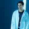 Felix (JORDAN GAVARIS)