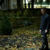 Ferdinand (JAMES FRAIN)