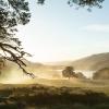 Outlander (1)
