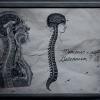 Penny Dreadful - Dr. Frankensteins Notebook (5)