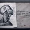 Penny Dreadful - Dr. Frankensteins Notebook (6)