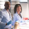 ROSEWOOD: Pictured L-R: Morris Chestnut and Gabrielle Dennis in the "Half-Life & Havana Nights" episode of ROSEWOOD airing Thursday, Dec. 1 (8:00-8:59 PM ET/PT) on FOX. ©2016 Fox Broadcasting Co. CR: Michael Desmond/FOX