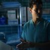 SCREAM QUEENS: Taylor Lautner in the all-new “THE HAND” episode of SCREAM QUEENS airing Tuesday, Nov. 29 (9:01-10:00 PM ET/PT) on FOX. Cr: Michael Becker / FOX. © 2016 FOX Broadcasting Co.