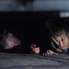 "Fanatic" -- The Threat Assessment Unit investigates the home of a young actress after she is frightened by an obsessed fan, on STALKER, Wednesday, Nov. 12 (10:00-11:00 PM, ET/PT) on the CBS Television Network. Pictured: AnnaLynne McCord guest stars as Nina, the young actress. Photo: Robert Voets/Warner Bros. Entertainment Inc. ÃÂ© 2014 WBEI. All rights reserved.