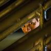 Star-Crossed -- "Give Me a Torch" -- Image Number: STA111b_0353.jpg -- Pictured: Matt Lanter as Roman -- Photo: Skip Bolen/The CW -- © 2014 The CW Network, LLC. All rights reserved.