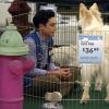 Episode 2.05 - Dog Adoption Day
