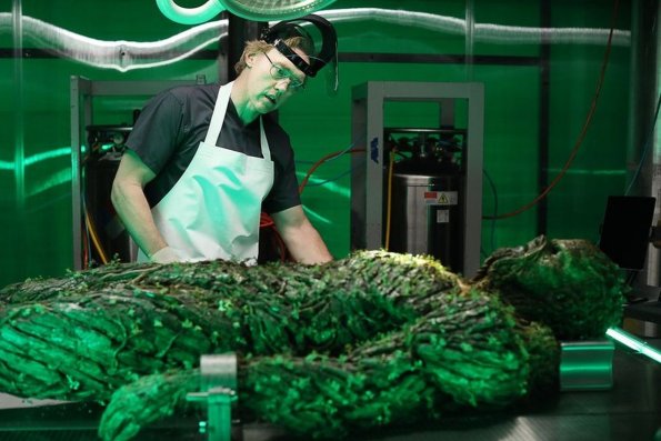 swamp-thing-episode-109-the-anatomy-lesson-promotional-photo-06