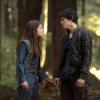 The 100