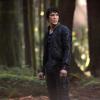 The 100