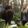 THE 100