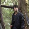THE 100