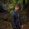 THE 100