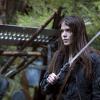 THE 100