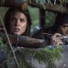 THE 100