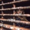 The 100 -- "Survival of the Fittest" -- Image: HU210A_0038 -- Pictured: Eliza Taylor as Clarke -- Photo: Cate Cameron/The CW -- ÃÂ© 2015 The CW Network, LLC. All Rights Reserved