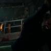 vlcsnap-2018-03-14-17h13m11s473