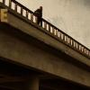 The Bridge s1 Banner 001