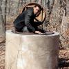 THE FOLLOWING: Theo (guest star Michael Ealy) hides in the special two-hour "Dead or Alive/The Reckoning" Series Finale episode of THE FOLLOWING airing Monday, May 18 (8:00-10:00 PM ET/PT) on FOX. ©2015 Fox Broadcasting Co. CR: Giovanni Rufino/FOX