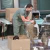 THE MINDY PROJECT:  Morgan (Ike Barinholtz) will try anything to keep his dogs in the "Annette Castellano Is My Nemesis" episode of THE MINDY PROJECT airing Tuesday, Sept. 23 (9:30-10:00 PM ET/PT) on FOX.  ©2014 Fox Broadcasting Co.  Cr:  Adam Taylor/FOX