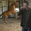 THE MOB DOCTOR: Nate (Jesse Lee Soffer) seeks Grace's help with a horse in the &quot;Sibling Rivalry&quot; episode of THE MOB DOCTOR airing Monday, Oct. 8 (9:00-10:00 PM ET/PT) on FOX. &#xa9;2012 Fox Broadcasting Co. CR: Chuck Hodes/FOX